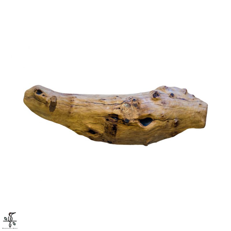 ظرف جوش چنار
