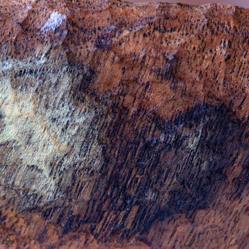 ظرف کهور