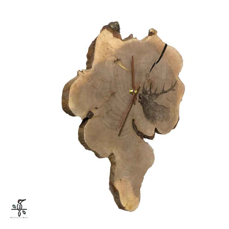 گاو بانگ