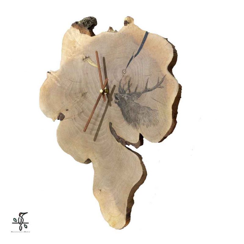 گاو بانگ